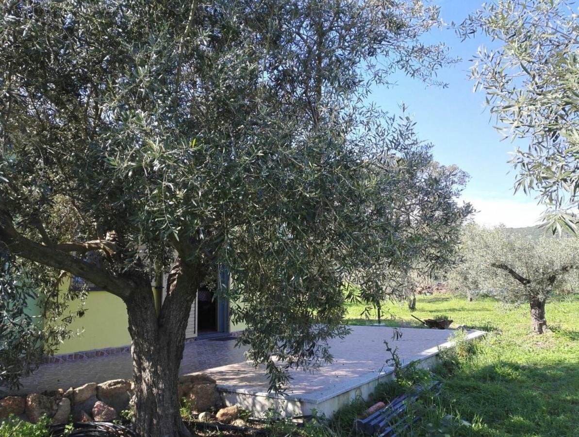Agriturismo "Pirastreri" Siniscola Exterior foto